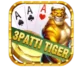 3Patti Tiger